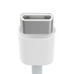 Recci Nature Dual Type-C Cable PD 60W